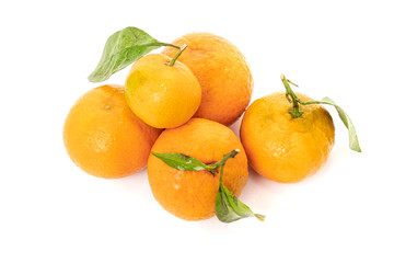 Fototapeta na wymiar Tangerines with leaves on a white background