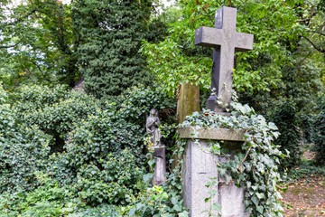 Summertime at the Olsany Cemetery in Prague