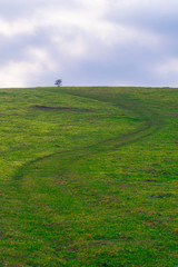 green road and blue sky