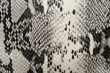 Black and white women bag made of python skin