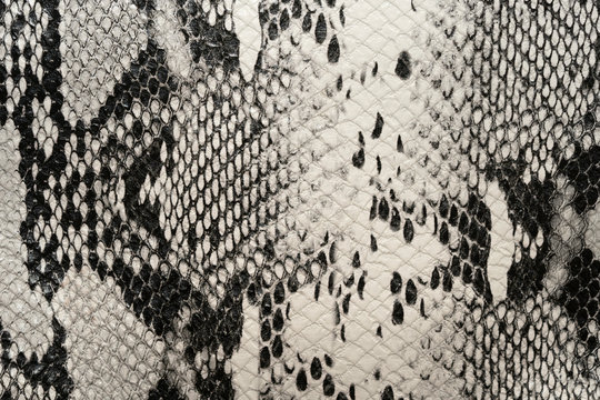 Black and white women bag made of python skin
