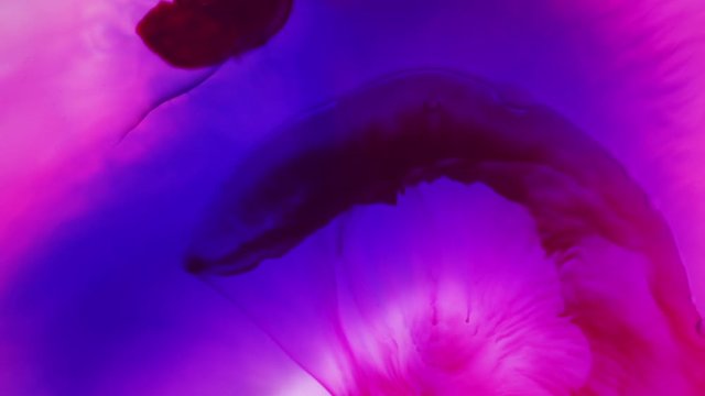 water shadow wave on color pulse