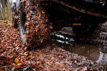 Riding the forest by car and buggy. Offroad trip to the mountains. Wheel in the swamp