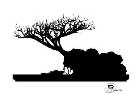 Japanese bonsai tree and stone , plant silhouette icons on white background, Black silhouette of bonsai. Detailed image. Vector