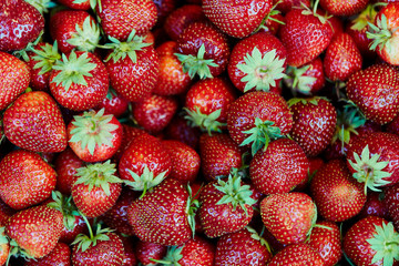 Fresh strawberry background. Texture strawberry berries