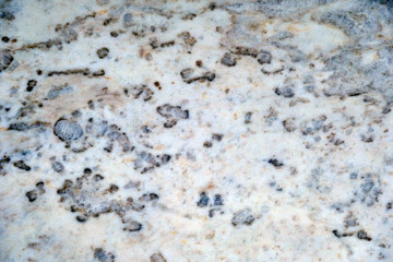 White marble with black dots texture, background.