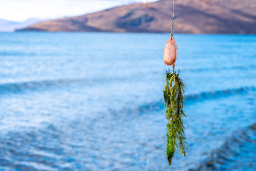 Seaweed on a in-line spinnerbait with unfocused lake and mountains background. Unsuccessful fishing...