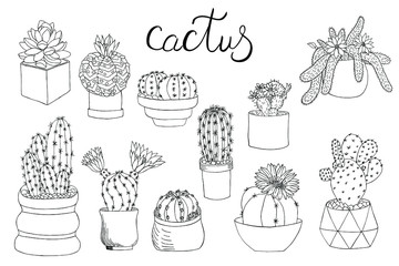 A collection of indoor cacti and succulents. The outline of the plant is hand-drawn in ink. Lettering Cactus. Flowers, thorns, leaves. Isolated vector illustration for coloring on a white background.