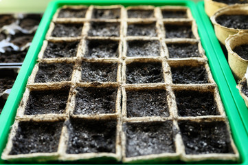 peat pots for seedlings with empty land on the windowsill