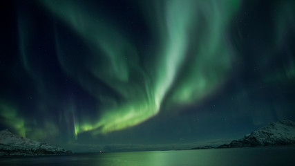 Polarlicht über Norwegen