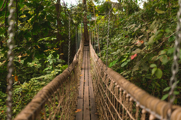 Fototapety  Wiklinowy most wykonany z bambusa wśród zielonego tropikalnego i egzotycznego ogrodu z palmami i drzewami w Tajlandii na wyspie Koh Samui.
