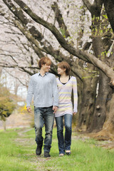 桜満開の公園を散歩するカップル