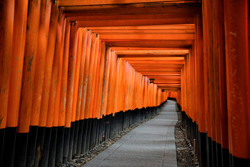 Fototapeta premium Red Gates of Fushimi Inari in Kyoto, Japan