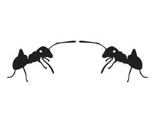 Vector illustration of an ant