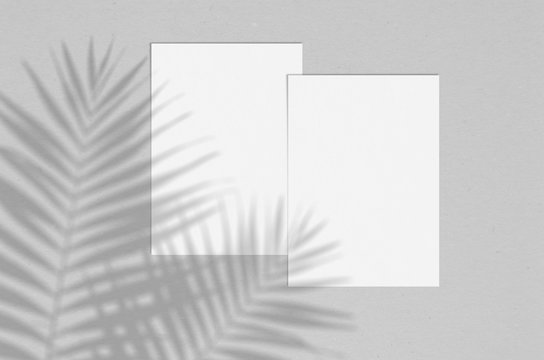 Blank white vertical paper sheet 5x7 inches with palm shadow overlay. Modern and stylish greeting card or wedding invitation mock up.