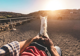 Cowboy training with bitless horse inside farm corral at sunset - Culture, wildlife, healthy...