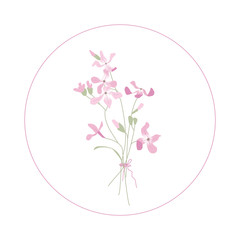 Pink matthiola. Delicate garden flowers. Summer bouquet. Botanical illustration Floral pattern. Floristry
