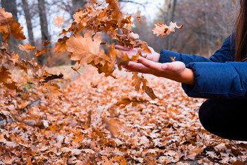 Girl hands throwing fallen dry leaves  in park. Autumn mood concept.
