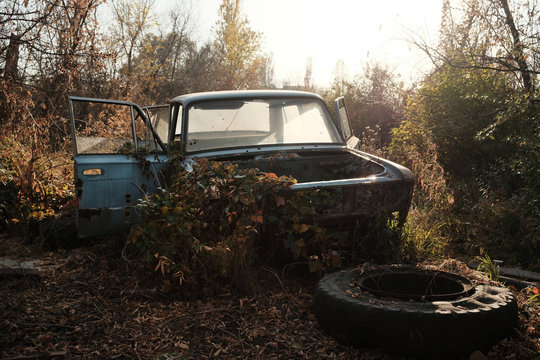Abandoned car wreck in forest. Old rusted car abandonned in the woods.