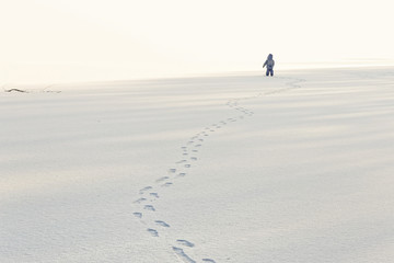 little lonely boy in winter on ice in the snow
