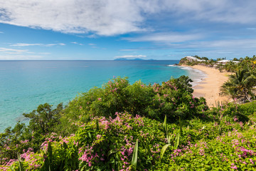Caribbean Landscape of Antigua