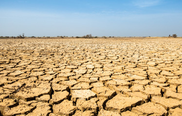 Dried fissured mud cracked earth dryness desert