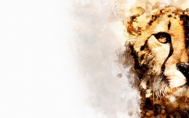 watercolor painting tiger face head