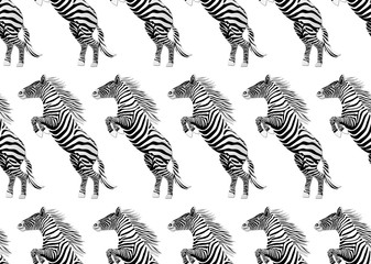 Zebra Hand Drawn illustration. Wild Animal.