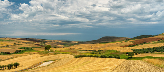Fototapeta na wymiar Rural landscape near Serracapriola, Apulia, Italy