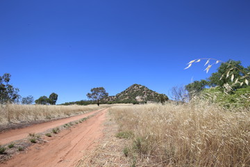 Pyramid Hill in Central Victoria, Australia surrounded by dry grass in summertime