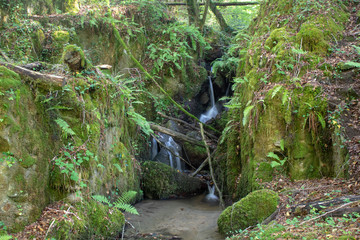 mini chute large