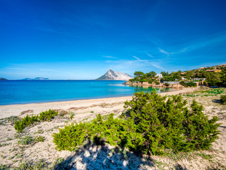 Clear water of sardinian beach called Cala Girgolu, with view on Tavolara island