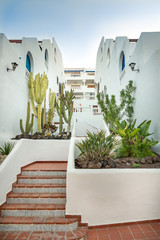 Spanish Resort hotel with Cactus and Tile - Travel.dng