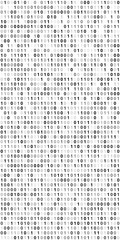 Binary Code Screen
