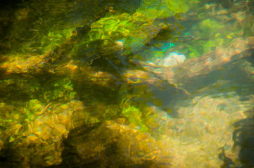 Fototapeta na wymiar Soft abstract of weeds in flowing river green & yellow background