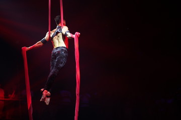 Brazilian strong sexy man do performance on aerial silks in red lights.  Sport training gym and...