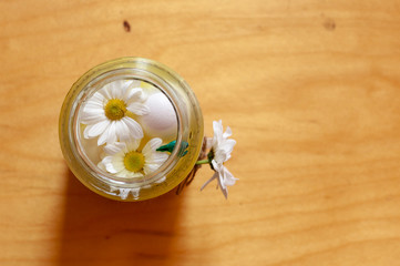 White eggs in glass jar with head flower white spring daisy flower