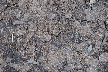 Cracked earth surface with seeds on it.