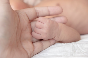 New-born baby's tiny hand in father's hand. Father is holding a little newborn baby's tiny hand.
