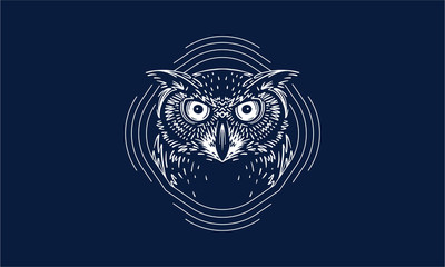 owl on dark background