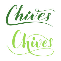 Vector hand written chives text isolated on white background. Kitchen healthy herbs and spices for cooking. Script brushpen lettering with flourishes. Handwriting for banner, poster, product label