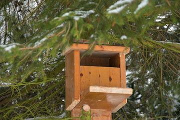 Housing for squirrels mounted on spruce. Home made. Help for squirrels in winter