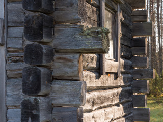 Greyed log wall of traditional wooden log shed