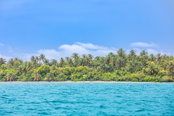 Tropical island coast. Palm trees and calm waves in blue sea. Exotic landscape, beach on paradise island. Exotic nature, tropical layers on horizontal panorama