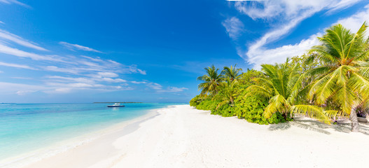 Amazing tropical beach panoramic landscape. Exotic travel and vacation scenery, palm trees over white sand and blue sea sky