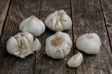 Knoblauchzwiebel (lat. Allium sativum), Knoblauchzehen