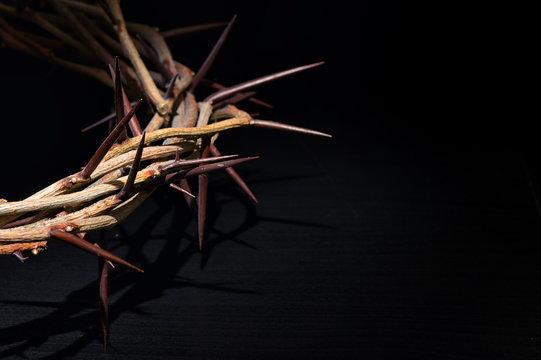 Crown Of Thorns On A Black Background