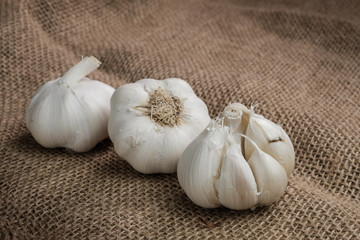 Knoblauchzwiebel (lat. Allium sativum) auf Jute-Stoff