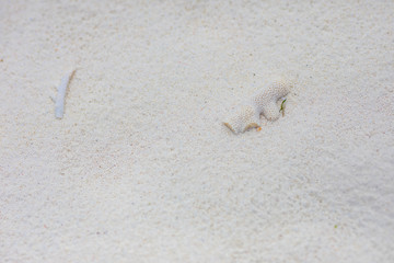 close up of the coastline beach abstract sand texture background
