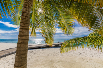 Beautiful beach with palm trees sun rays and moody sky. Summer vacation travel holiday background concept. Maldives paradise beach. Luxury travel summer holiday background concept.
